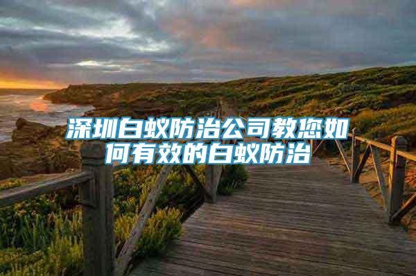 深圳白蚁防治公司教您如何有效的白蚁防治