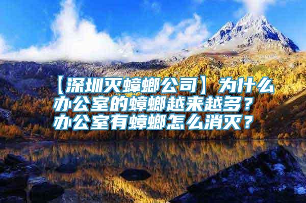 【深圳灭蟑螂公司】为什么办公室的蟑螂越来越多？办公室有蟑螂怎么消灭？