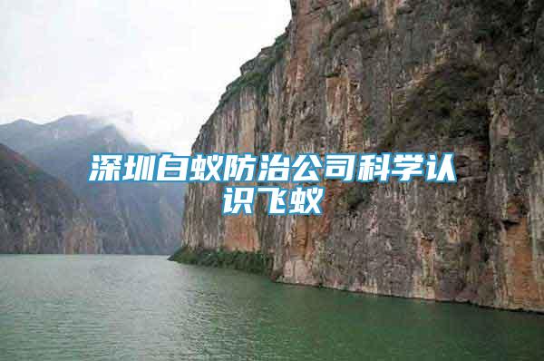 深圳白蚁防治公司科学认识飞蚁