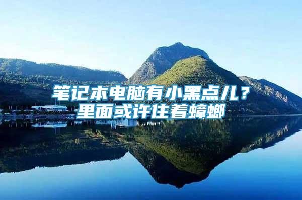 笔记本电脑有小黑点儿？里面或许住着蟑螂