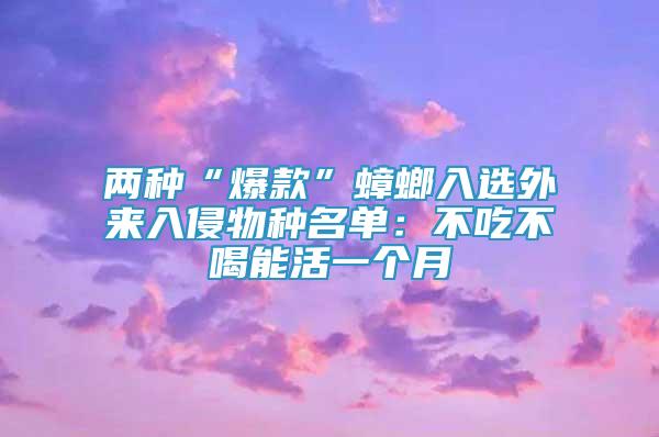 两种“爆款”蟑螂入选外来入侵物种名单：不吃不喝能活一个月