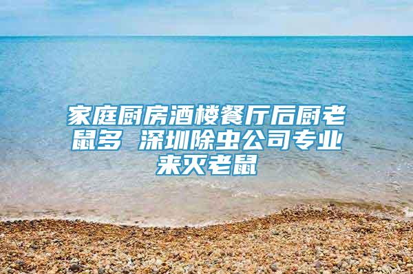 家庭厨房酒楼餐厅后厨老鼠多 深圳除虫公司专业来灭老鼠