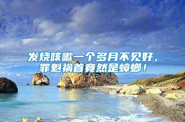 发烧咳嗽一个多月不见好，罪魁祸首竟然是蟑螂！
