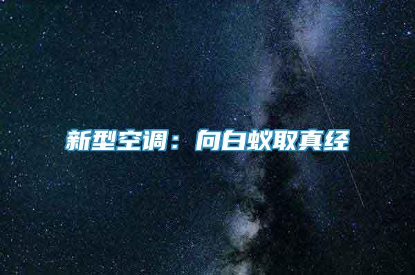 新型空调：向白蚁取真经