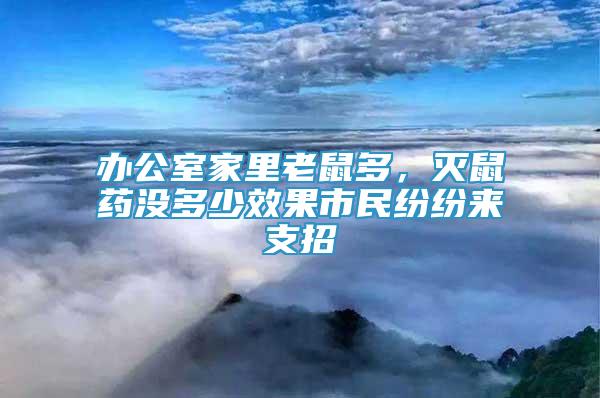 办公室家里老鼠多，灭鼠药没多少效果市民纷纷来支招