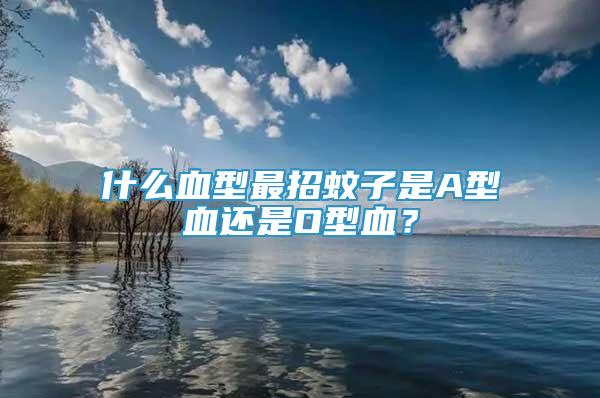 什么血型最招蚊子是A型血还是O型血？