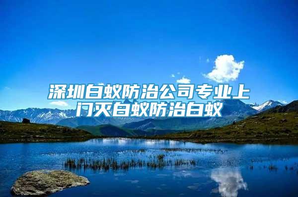 深圳白蚁防治公司专业上门灭白蚁防治白蚁