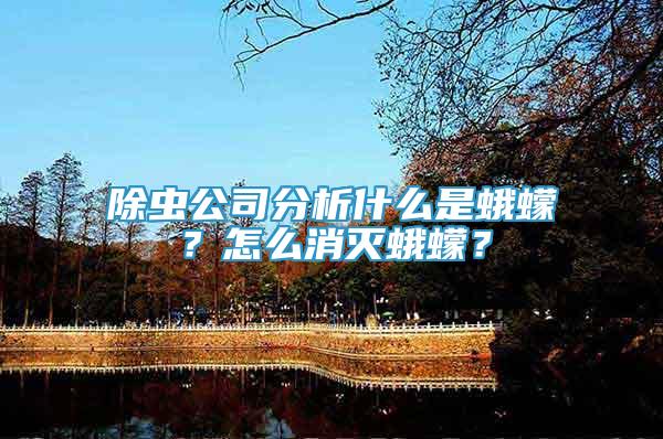 除虫公司分析什么是蛾蠓？怎么消灭蛾蠓？