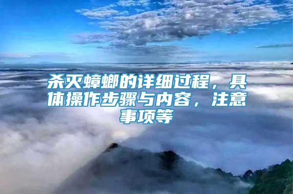 杀灭蟑螂的详细过程，具体操作步骤与内容，注意事项等