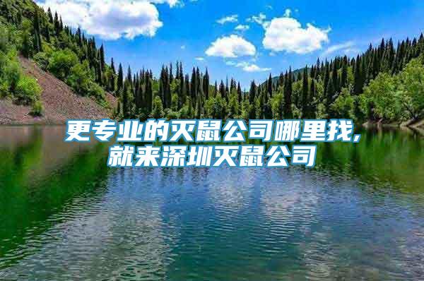 更专业的灭鼠公司哪里找,就来深圳灭鼠公司