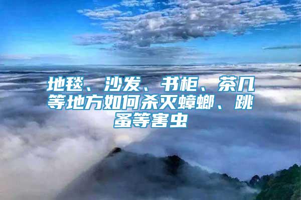 地毯、沙发、书柜、茶几等地方如何杀灭蟑螂、跳蚤等害虫