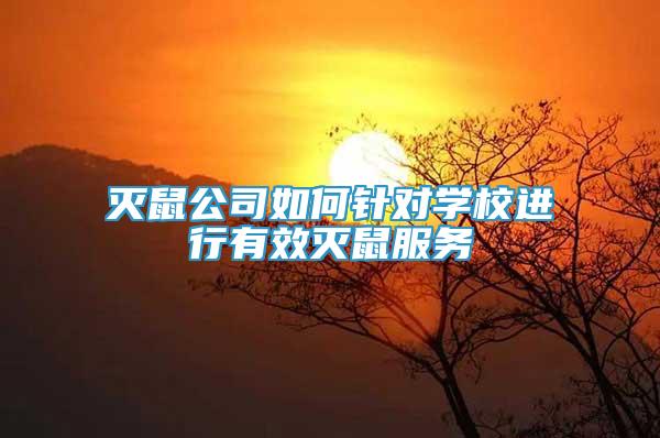 灭鼠公司如何针对学校进行有效灭鼠服务