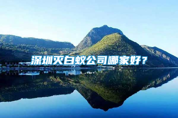 深圳灭白蚁公司哪家好？