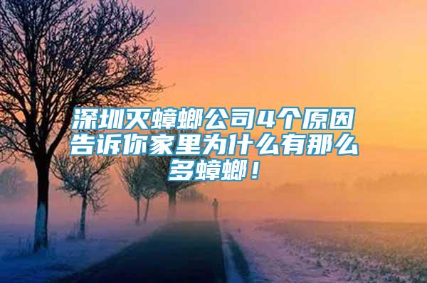 深圳灭蟑螂公司4个原因告诉你家里为什么有那么多蟑螂！