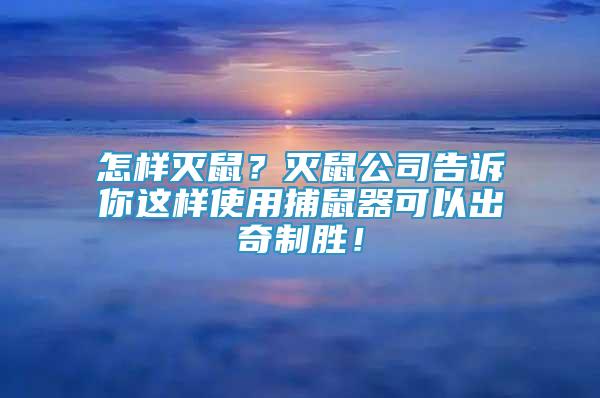 怎样灭鼠？灭鼠公司告诉你这样使用捕鼠器可以出奇制胜！