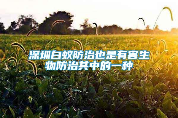 深圳白蚁防治也是有害生物防治其中的一种