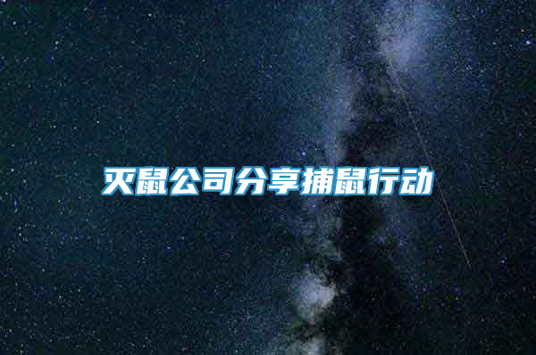 灭鼠公司分享捕鼠行动