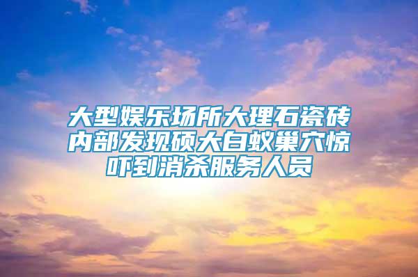 大型娱乐场所大理石瓷砖内部发现硕大白蚁巢穴惊吓到消杀服务人员