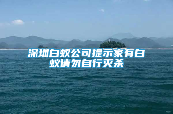 深圳白蚁公司提示家有白蚁请勿自行灭杀