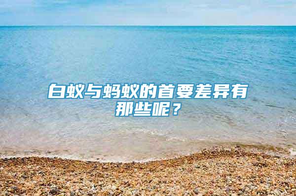 白蚁与蚂蚁的首要差异有那些呢？