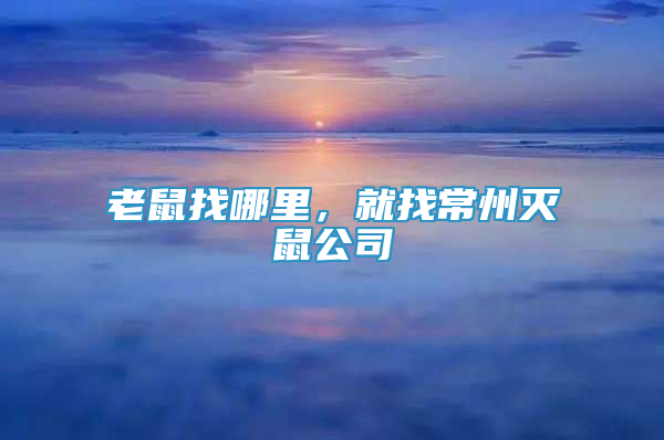 老鼠找哪里，就找常州灭鼠公司