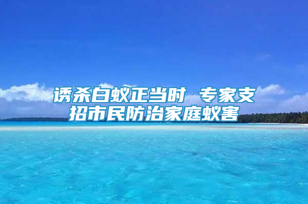 诱杀白蚁正当时 专家支招市民防治家庭蚁害