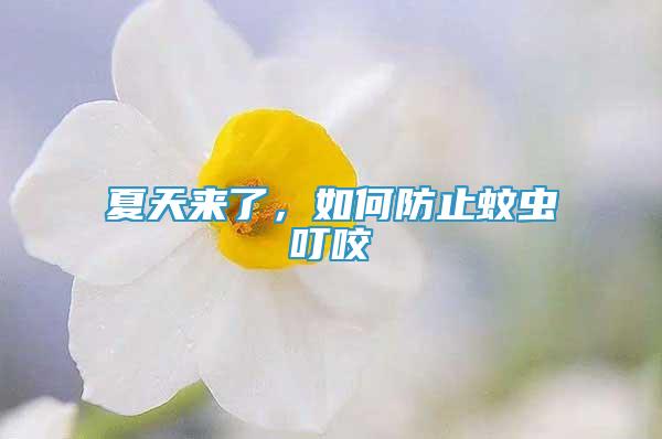 夏天来了，如何防止蚊虫叮咬