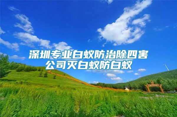 深圳专业白蚁防治除四害公司灭白蚁防白蚁