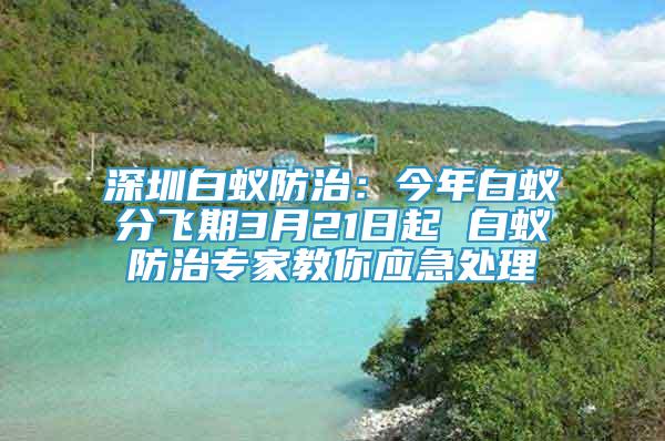 深圳白蚁防治：今年白蚁分飞期3月21日起 白蚁防治专家教你应急处理