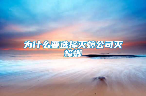 为什么要选择灭蟑公司灭蟑螂