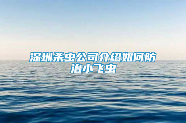 深圳杀虫公司介绍如何防治小飞虫