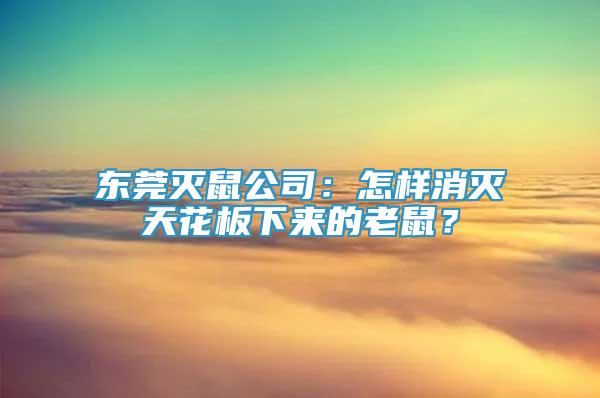 东莞灭鼠公司：怎样消灭天花板下来的老鼠？