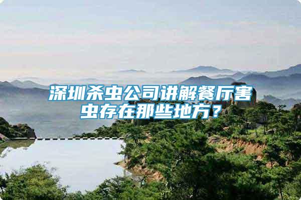 深圳杀虫公司讲解餐厅害虫存在那些地方？