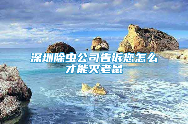 深圳除虫公司告诉您怎么才能灭老鼠