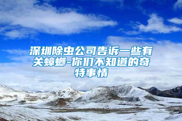 深圳除虫公司告诉一些有关蟑螂-你们不知道的奇特事情