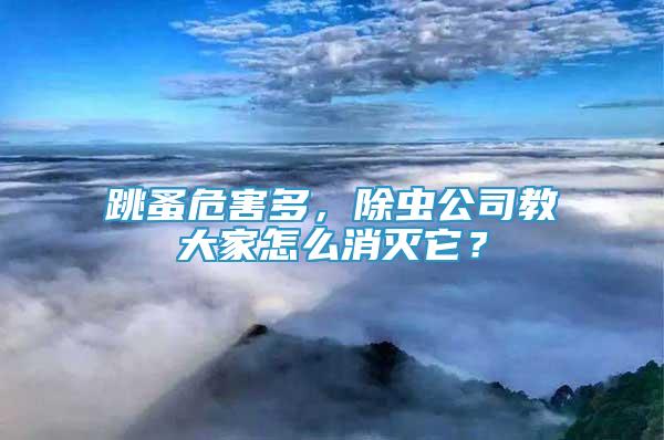 跳蚤危害多，除虫公司教大家怎么消灭它？