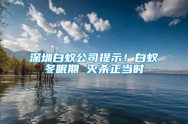 深圳白蚁公司提示！白蚁冬眠期 灭杀正当时