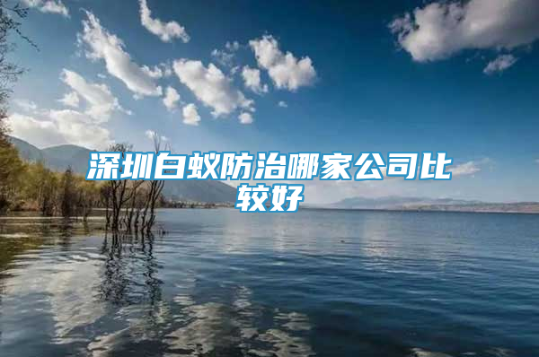 深圳白蚁防治哪家公司比较好