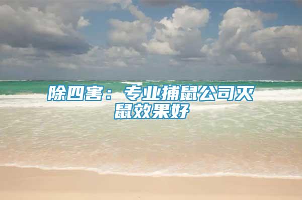 除四害：专业捕鼠公司灭鼠效果好