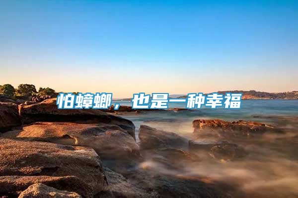 怕蟑螂，也是一种幸福