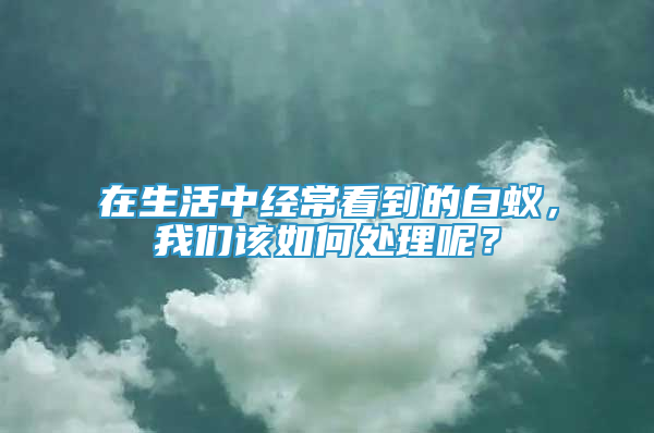 在生活中经常看到的白蚁，我们该如何处理呢？