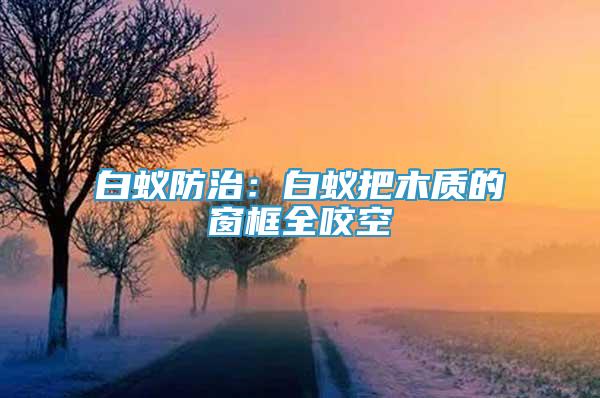 白蚁防治：白蚁把木质的窗框全咬空