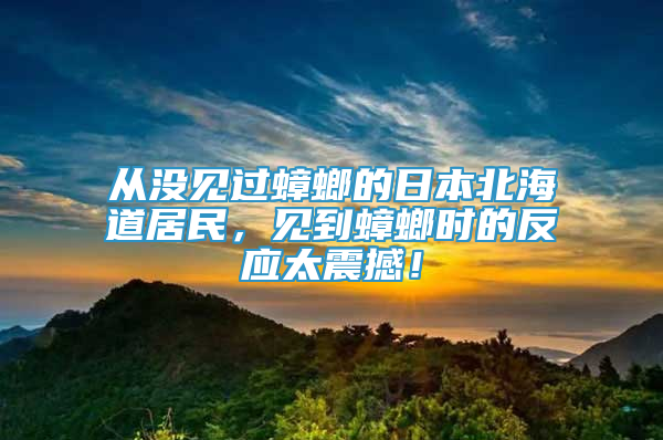 从没见过蟑螂的日本北海道居民，见到蟑螂时的反应太震撼！