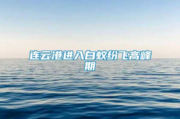 连云港进入白蚁纷飞高峰期