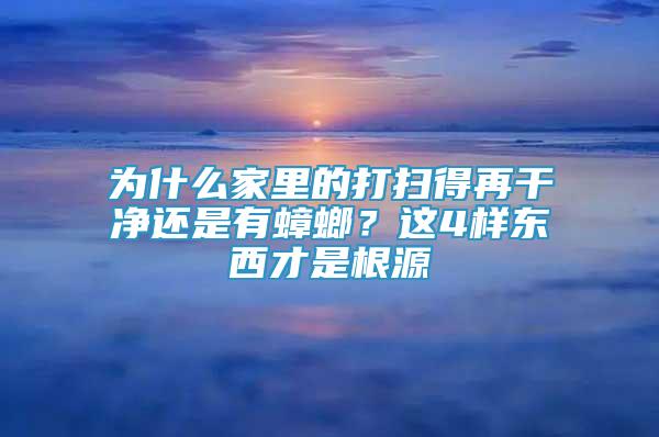 为什么家里的打扫得再干净还是有蟑螂？这4样东西才是根源