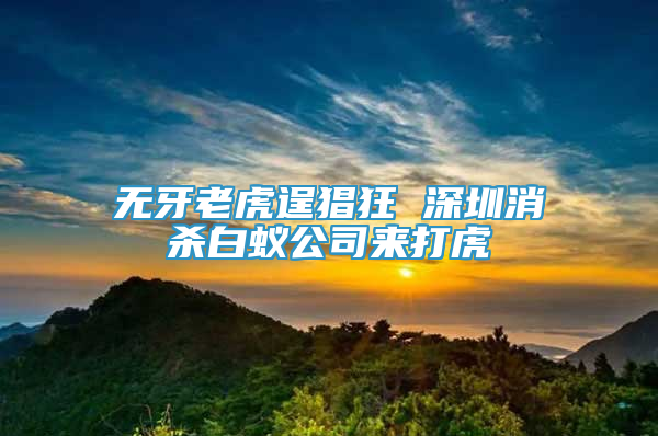 无牙老虎逞猖狂 深圳消杀白蚁公司来打虎