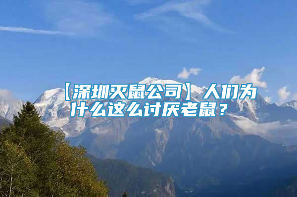 【深圳灭鼠公司】人们为什么这么讨厌老鼠？