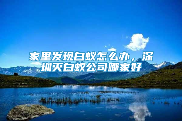 家里发现白蚁怎么办，深圳灭白蚁公司哪家好