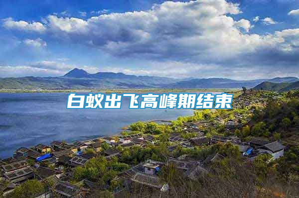 白蚁出飞高峰期结束