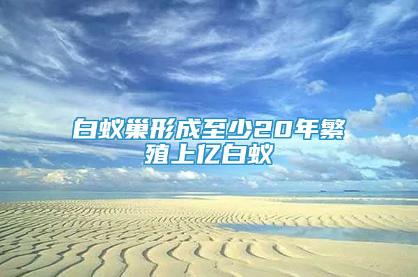 白蚁巢形成至少20年繁殖上亿白蚁